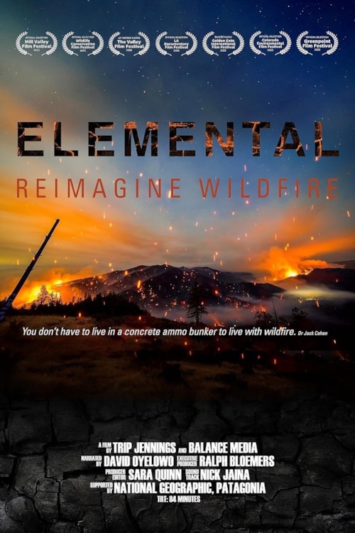 Elemental: Reimagine Wildfire poster